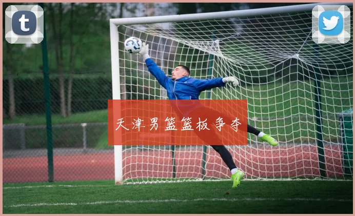 天津男篮篮板争夺
