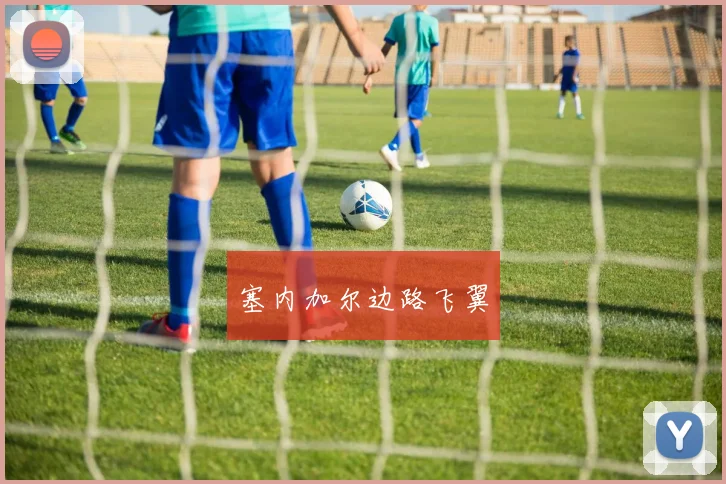 塞内加尔边路飞翼
