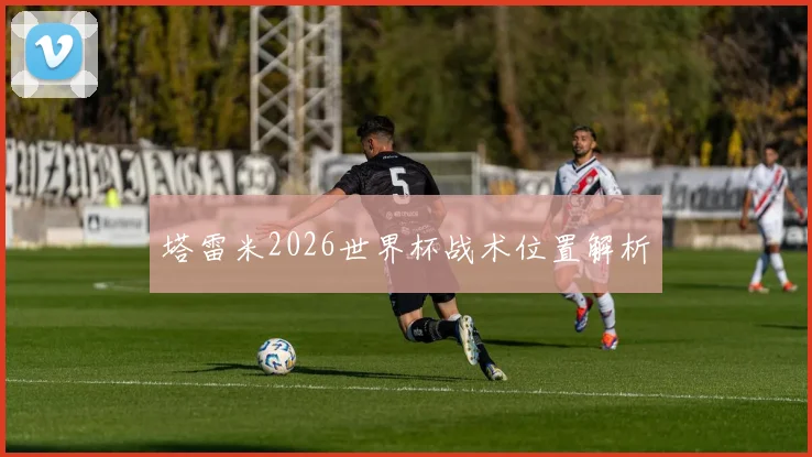 塔雷米2026世界杯战术位置解析