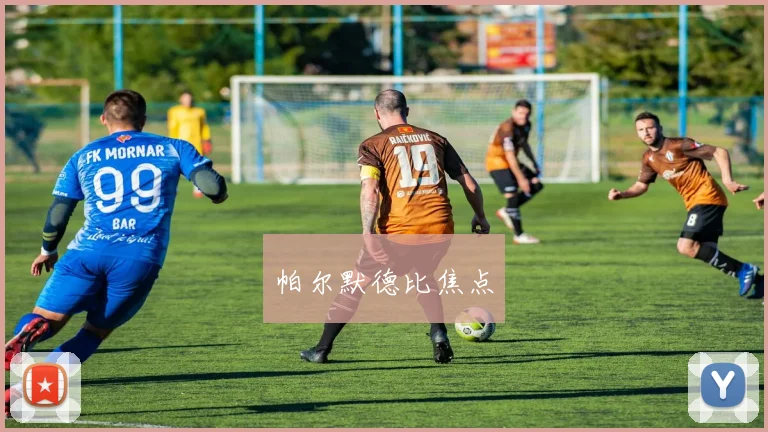 帕尔默德比焦点