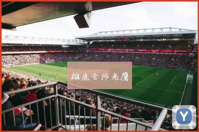 雄鹿会师老鹰