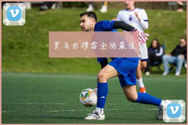 贾马尔穆雷全场最佳