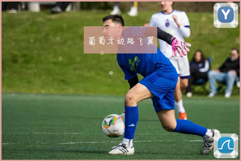 葡萄牙边路飞翼