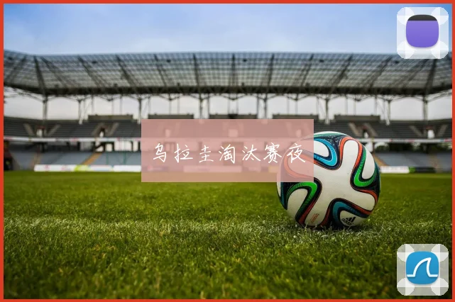乌拉圭淘汰赛夜