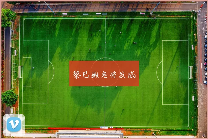 黎巴嫩老将发威