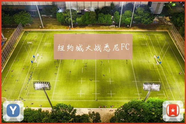 纽约城大战悉尼FC