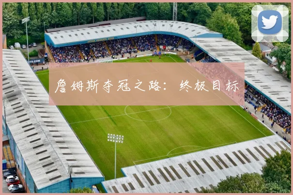 詹姆斯夺冠之路：终极目标