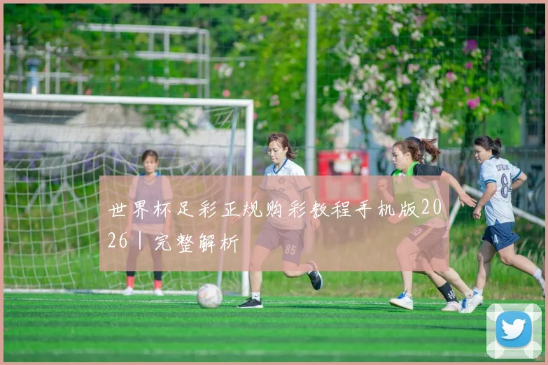 世界杯足彩正规购彩教程手机版2026｜完整解析