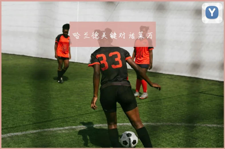 哈兰德关键对话莱万