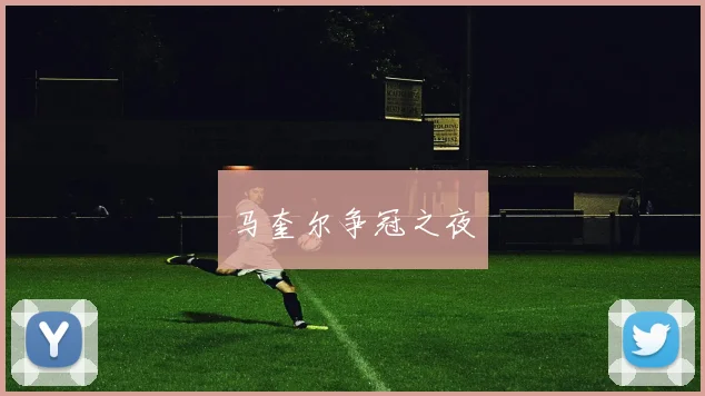 马奎尔争冠之夜