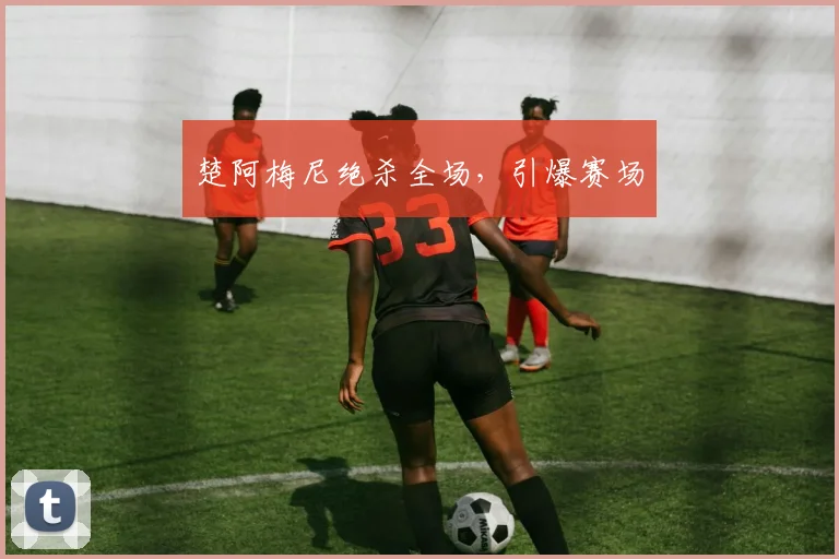 楚阿梅尼绝杀全场，引爆赛场