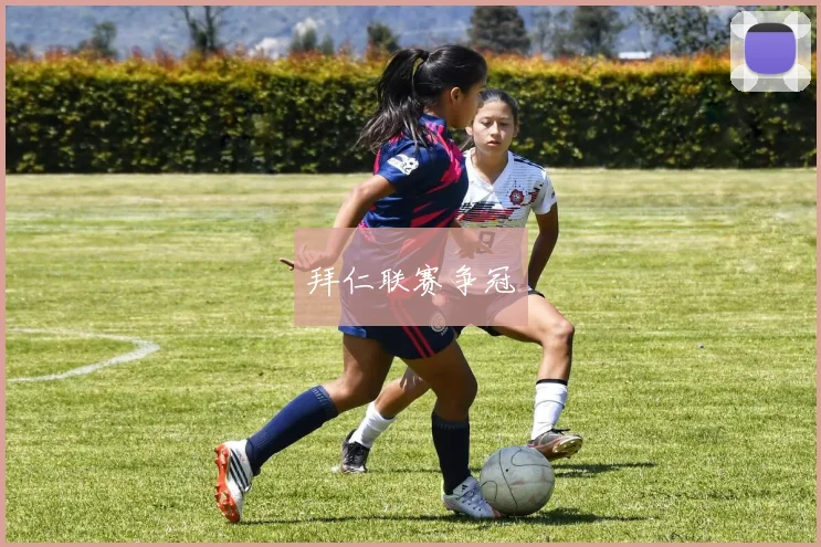 拜仁联赛争冠
