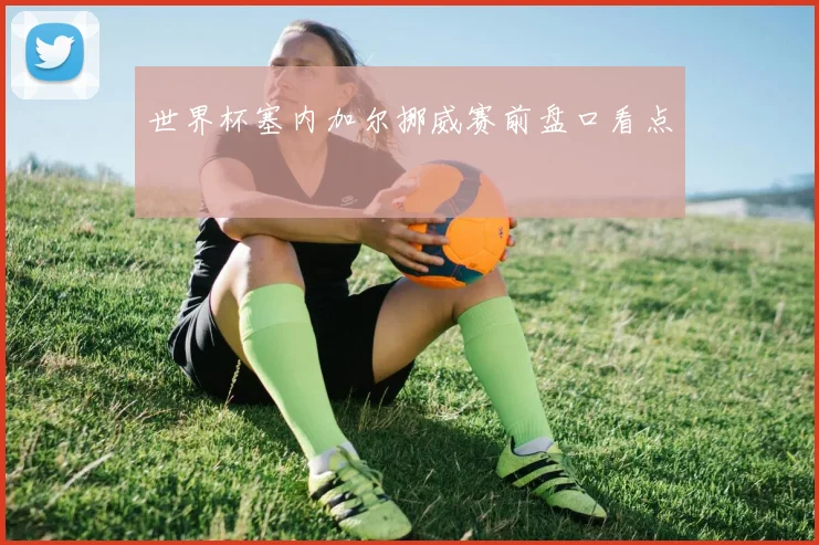 世界杯塞内加尔挪威赛前盘口看点