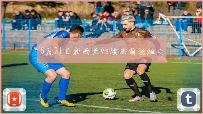 6月21日新西兰vs埃及前场组合