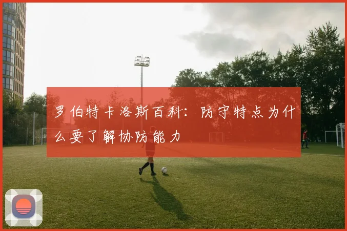 罗伯特卡洛斯百科：防守特点为什么要了解协防能力