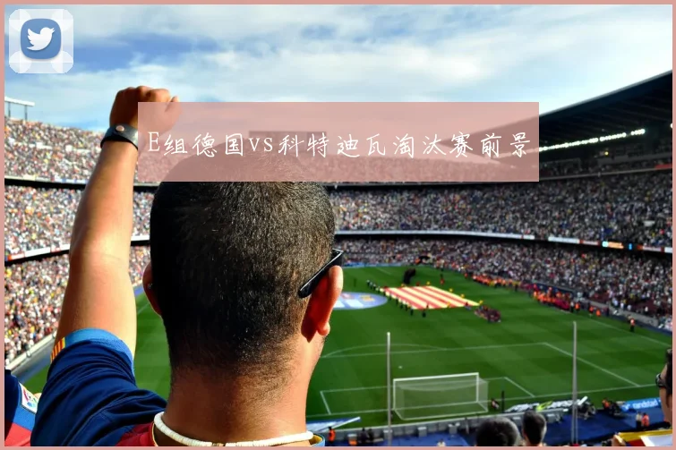 E组德国vs科特迪瓦淘汰赛前景